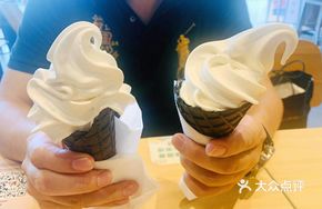 Vanilla Ice Cream