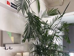 -隹木咖啡馆(宝龙广场店)