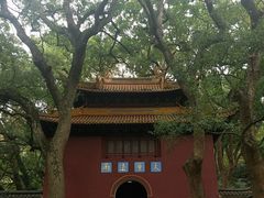 -普陀山风景名胜区-法雨禅寺