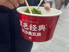-黑色经典臭豆腐·湖南特产(坡子街店)