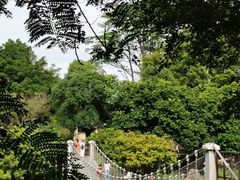 -东莞植物园