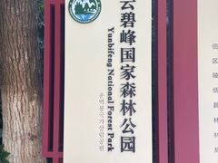 -云碧峰国家森林公园