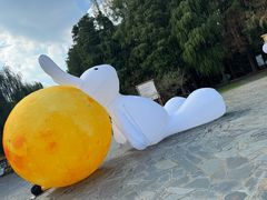 -同里国家湿地公园