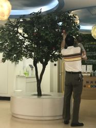 点击看大图 -睿宝儿科·眼科·口腔(杨浦新江湾城店)