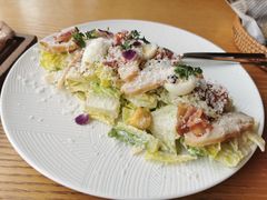 经典凯撒沙拉-EN SPACE恩空间