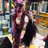 略显悲伤 松枝烤鸡、熏牛肉