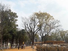 -武汉动物园