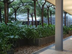 -半山半岛洲际度假酒店·观海廊