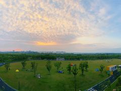 -春花秋色城市公园