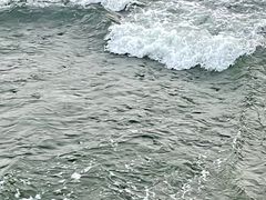 -深圳湾公园(南山区)