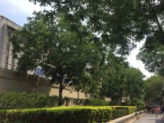-万隆大胡同商业中心