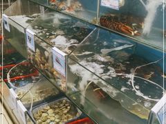 水产区-Sasa的海(蜈支洲岛后海店)