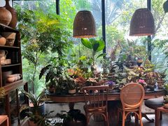 -自由生长植物工作室(深港花卉中心店)