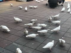 -王府井奥莱临潼小镇(临潼店)
