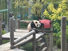 -大连森林动物园