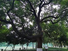 -塔子山公园
