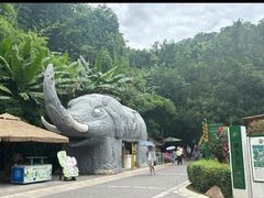 -野象谷景区