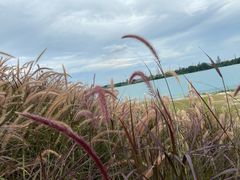 -露天矿生态公园