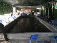 -会江钓鱼钓虾烧烤场