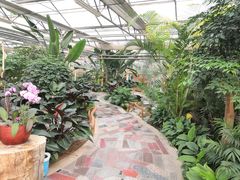 -兰陵国家农业公园