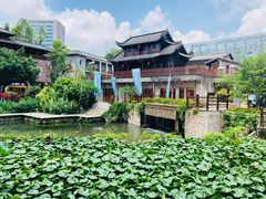 -鹅滋道(甘坑古镇店)