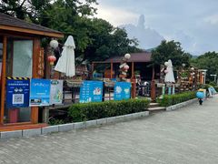 -杨梅坑