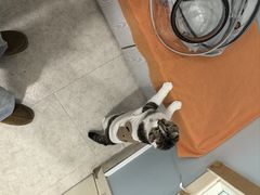 -纳吉亚猫专科动物医院·北北分院