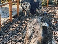 -茅山东方盐湖城景区