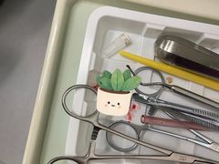 -上海市徐汇区口腔医院