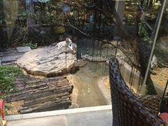 -麒麟中餐厅·经典粤菜·地道菜式老字号(广州长隆酒店)