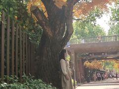 -横店影视城梦幻谷园区