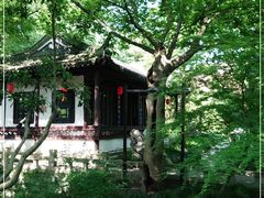 -上海醉白池公园