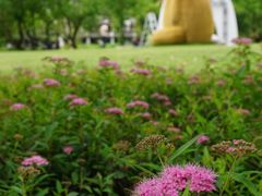 -长兴太湖图影湿地文化园