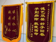 -中农国际动物医院24小时·猫科·骨科·急重症中心