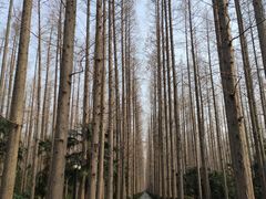 -上海怡沁园度假酒店