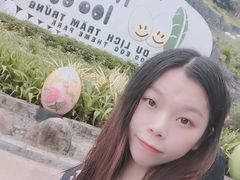 -100蛋泥浆浴