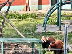 -哈尔滨北方森林动物园