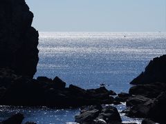 -涉地可支
