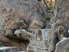 -京东石林峡风景区