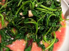 -麻都·成都菜(人民广场店)