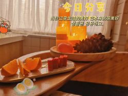-薇薇安花系SPA