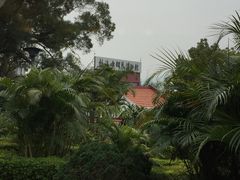 -鼓浪屿钢琴博物馆