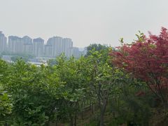 -河北省园博园