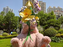 -中海环宇荟