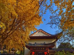 -郑和公园