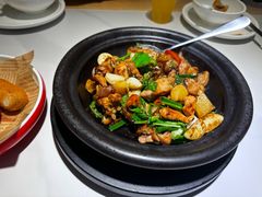 -鸽小宝(深圳首店)