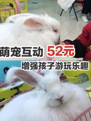 -萌兔星空蹦床撸兔馆