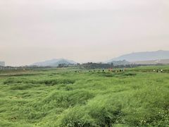 -光明小镇欢乐田园