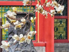 -颐和园