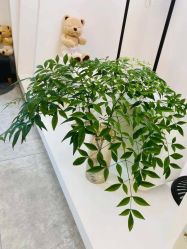 点击看大图 -恩舍瑜伽普拉提